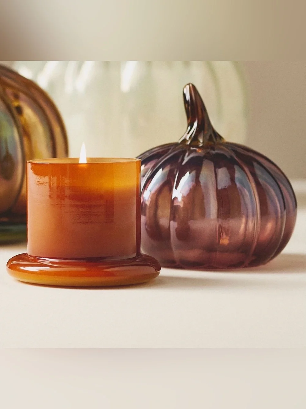Anthropologie Woody White Birch & Pumpkin Glass Cloche Candle  NWT